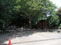 Tv_20090509_10
