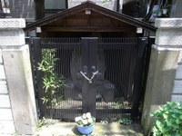 Tv_20090509_19