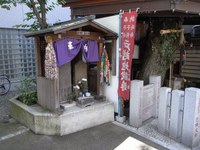 Tv_20090509_25