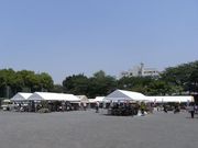 20090510_2