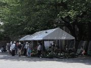 20090510_3
