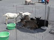 20090510_5