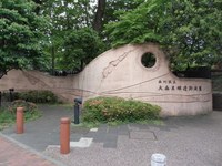 Tv_20090516_03