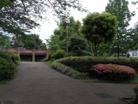 Tv_20090516_04