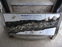 Tv_20090516_10