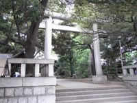 Tv_20090516_12