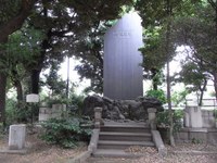 Tv_20090516_16