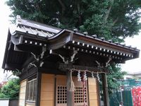 Tv_20090516_20