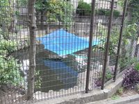 Tv_20090516_23