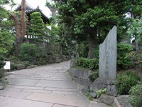 Tv_20090516_27