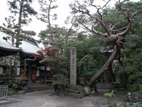 Tv_20090516_28