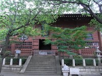Tv_20090516_29
