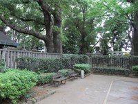 Tv_20090516_34