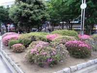 Tv_20090516_36