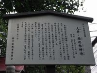Tv_20090516_37