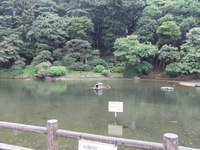 Tv_20090524_06