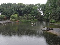 Tv_20090524_07