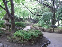 Tv_20090524_08