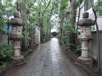 Tv_20090524_13