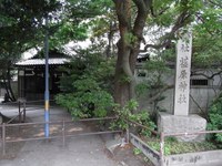 Tv_20090614_03