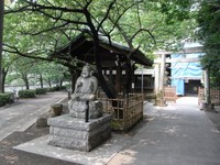 Tv_20090614_04