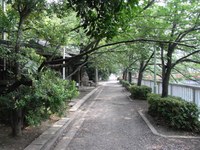 Tv_20090614_08
