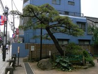 Tv_20090614_13