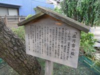 Tv_20090614_15
