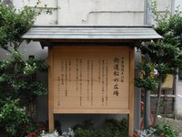 Tv_20090614_16