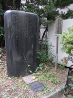 Tv_20090614_17