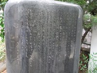 Tv_20090614_19