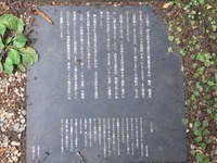 Tv_20090614_20