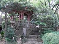 Tv_20090614_24