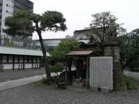 Tv_20090614_28