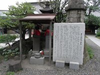 Tv_20090614_29