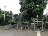 Tv_20090614_35