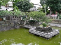 Tv_20090614_36