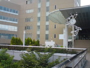 20090617_3