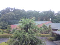 20090618