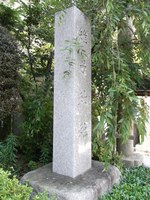 Tv_20090627_04