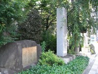 Tv_20090627_09