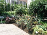 Tv_20090627_12