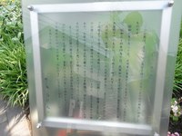 Tv_20090627_14