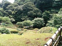 Tv_20090627_17