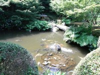 Tv_20090627_18