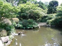Tv_20090627_19