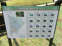 Tv_20090627_20