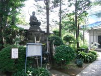 Tv_20090627_38
