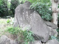 Tv_20090717_07
