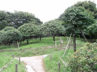 Tv_20090717_08